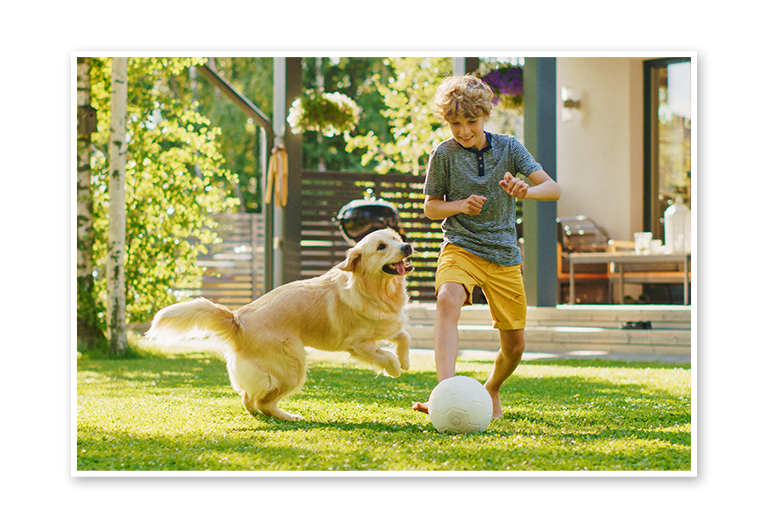 A young child playing with a golden retriever in his yard
