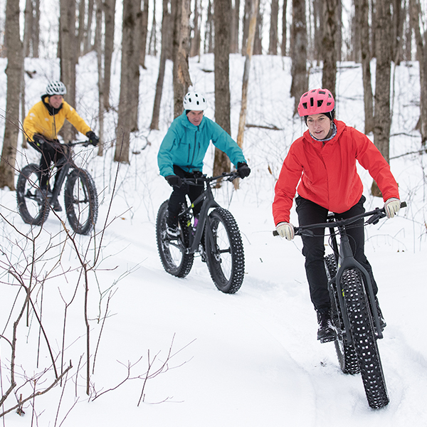 Fat Bikes