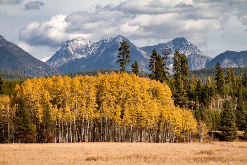 Glacier National Park